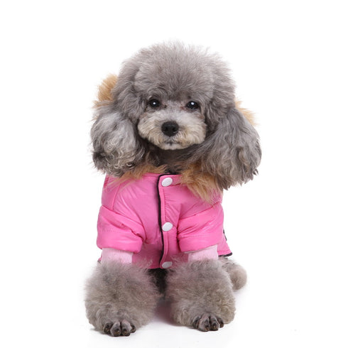 Dog Winter Coats Dog Jackets