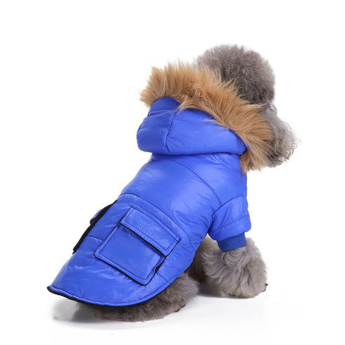 Dog Winter Coats Dog Jackets