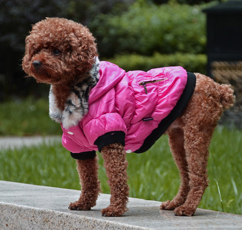 Dog Jacket Warm Winter Coat