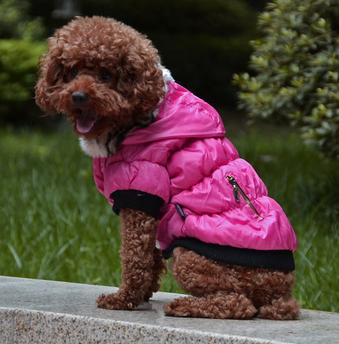 Dog Jacket Warm Winter Coat