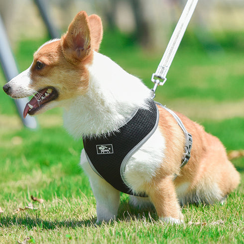 Back Leash Clips Breathable Reflective Dog Vest
