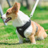 Back Leash Clips Breathable Reflective Dog Vest