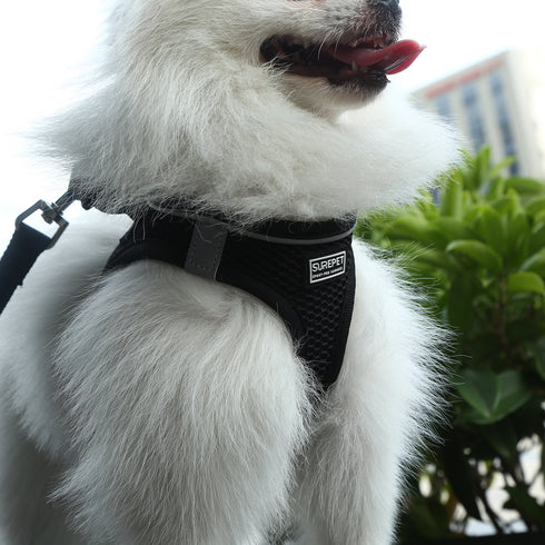 Dog Reflective Harnesses and Dog Leash