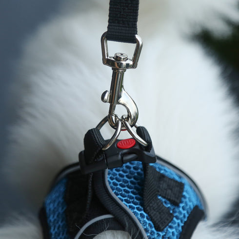 Dog Reflective Harnesses and Dog Leash