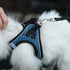 Dog Reflective Harnesses and Dog Leash