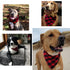 Blank Cute Dog Bandanas Washable Pet Scarfs