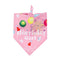 Dog Birthday Hat Cute Party Bandana Scarf