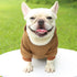 Classic Dog Clothing Warm Blank Hoodies for Crafting
