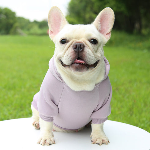 Classic Dog Clothing Warm Blank Hoodies for Crafting