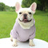 Classic Dog Clothing Warm Blank Hoodies for Crafting