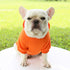 Classic Dog Clothing Warm Blank Hoodies for Crafting