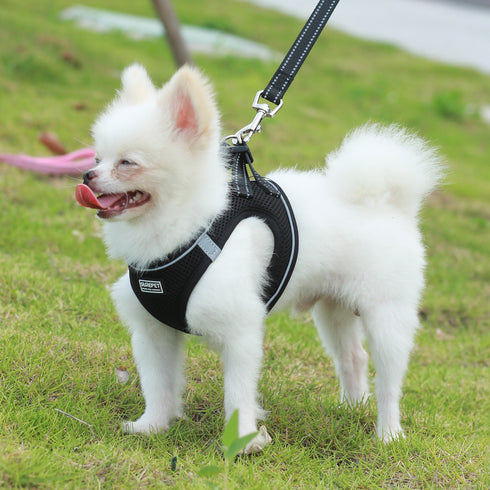 Dog Harnesses with Handle for Outdoor Training