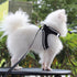 Dog Reflective Harnesses and Dog Leash