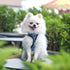 Dog Reflective Harnesses and Dog Leash