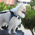 Dog Reflective Harnesses and Dog Leash