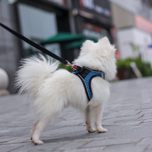 Dog Reflective Harnesses and Dog Leash