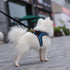 Dog Reflective Harnesses and Dog Leash