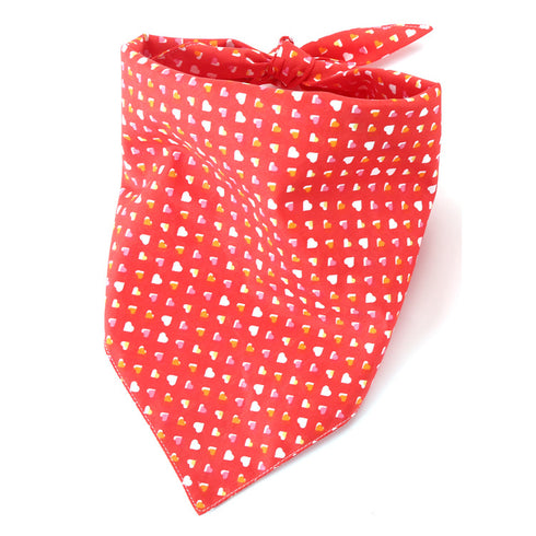 Puppy Valentine's Day Dog Bandana