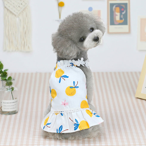 Dog Fruit Dog Summer Bayberry Dress