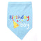 Party Supplies Dog Birthday Bandana Scarfs
