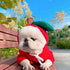 Puppy Dog Hoodie Sports Cat Clothes