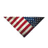 4th of July Independence Day Dog Bandana