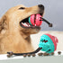 Dog Treat Dog Food Dispensing Teeth Cleaning Chew Toy