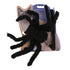 Spider Costume for Small Dogs with Traction Rope