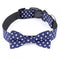 Birthday Party Pet Bowtie Collar Accessories