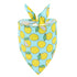 Summer Fruit Animal Dog Bandana Triangle Bibs