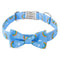 Cute Rainbow Kitten Safety Collars
