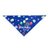 Dog Birthday Hat Cute Party Bandana Scarf
