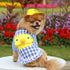 Dog Summer Duck Plaid Shirts Clothes with Hat