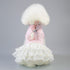 Dog Princess Dress with Rabbit Lace Gauze Skirt
