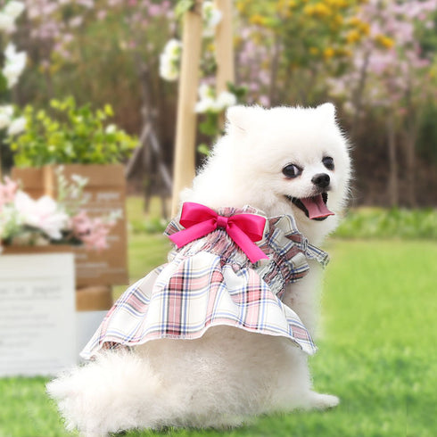 Cute Pet Summer Bow Wedding Dress