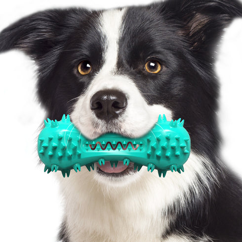 Dog Chew Indestructible Durable Toothbrush Toys