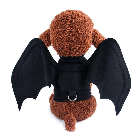 Halloween cat Bat Wings Vampire Costume
