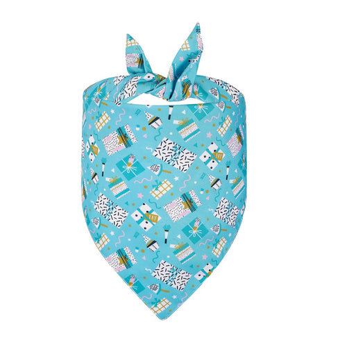 Birthday Bandana Scarf Party Supplies