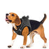 Breathable Mesh Summer Vest Reflective Dog Harnesses