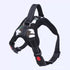 Easy for Walking Sport Harnesses with Handle
