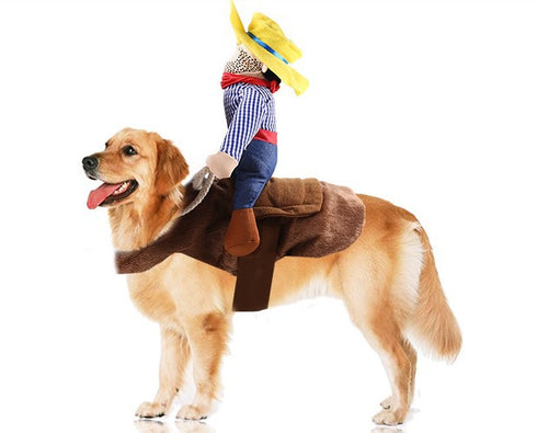 Cowboy Rider Christmas Style Dog Costume