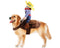 Cowboy Rider Christmas Style Dog Costume