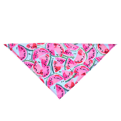 Washable Fruit Summer Pet Bandanas