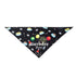 Dog Birthday Hat Cute Party Bandana Scarf
