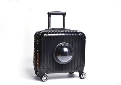 Space Capsule Pet Bubble Carrier Kitty Rolling Bag