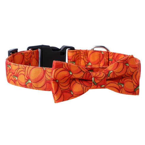 Pet Bowtie Collar for Halloween