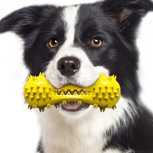 Dog Chew Indestructible Durable Toothbrush Toys