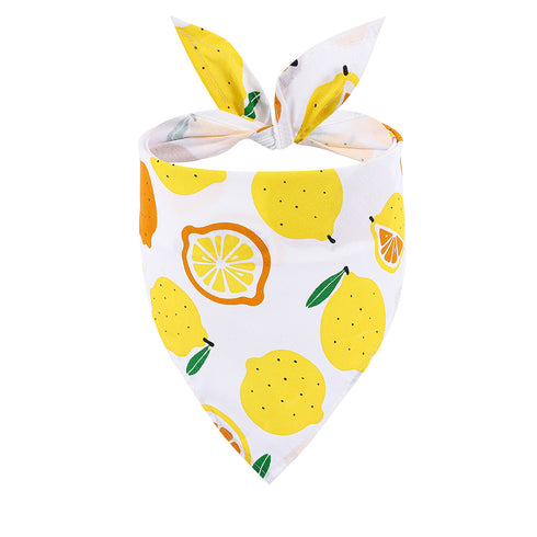 Summer Fruit Animal Dog Bandana Triangle Bibs