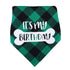 Plaid Painting Dog Birthday Bandana Girl Boy