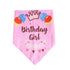 Dog Birthday Bibs Pet Happy Birthday Bandanas
